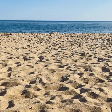 Neridas By Check-in Portugal クアルテイラ